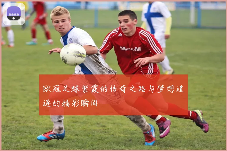 欧冠足球紫霞的传奇之路与梦想追逐的精彩瞬间
