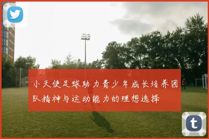 小天使足球助力青少年成长培养团队精神与运动能力的理想选择