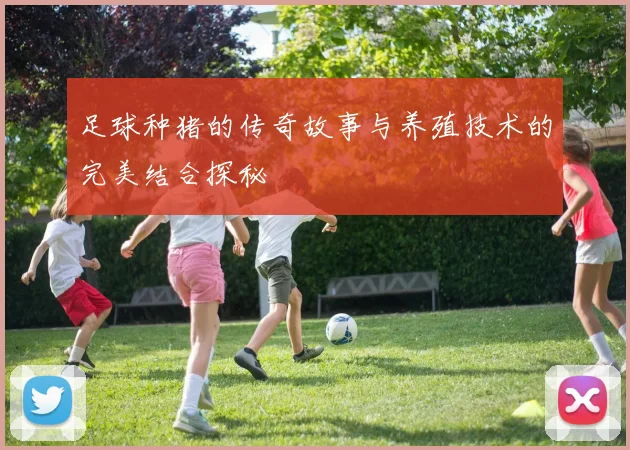 足球种猪的传奇故事与养殖技术的完美结合探秘